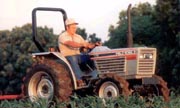 Field Boss 31 Image