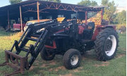 8111 Image